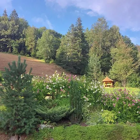 Penzion U Veselé Lišky 3*