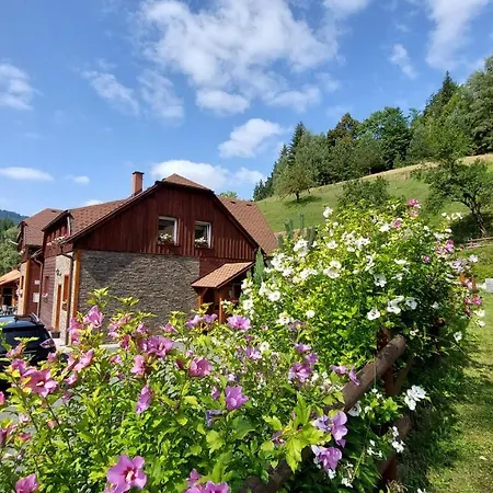 U Veselé Lišky Penzion 3*