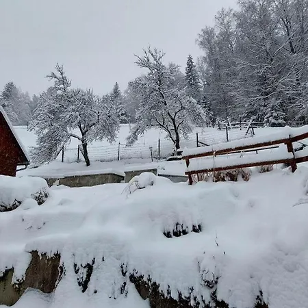 U Veselé Lišky 3*