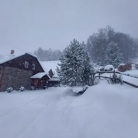 U Vesele Lisky Konukevi Hutisko