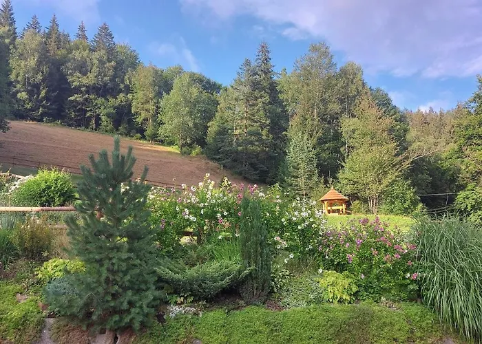 Gasthof U Vesele Lisky 3*