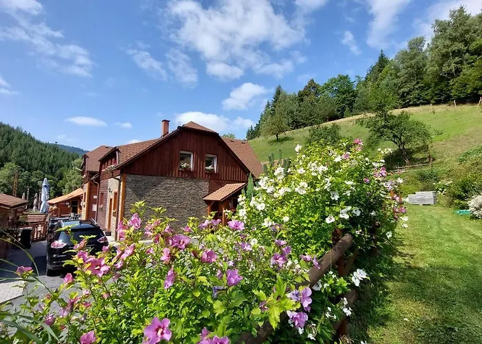 U Vesele Lisky Gasthof 3*