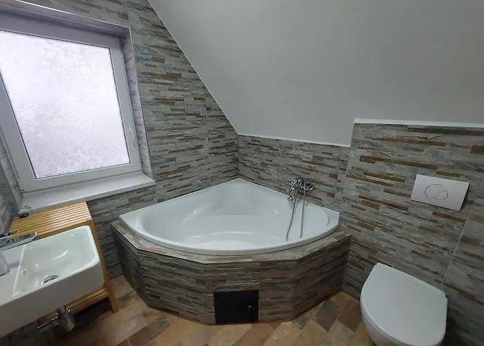 U Vesele Lisky Gasthof 3*