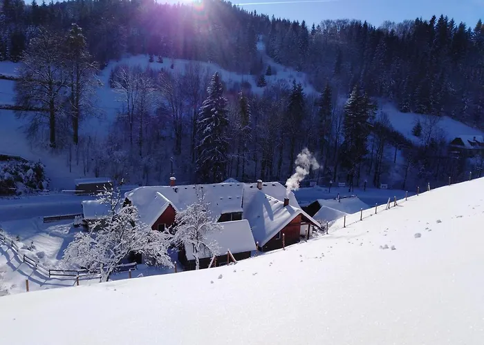 Gasthof U Vesele Lisky Hutisko